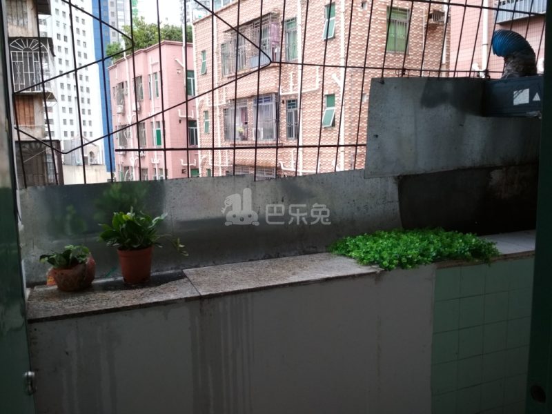 松园南小区1557199厨房图11