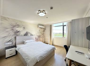 近梦精品公寓 1室1厅1卫