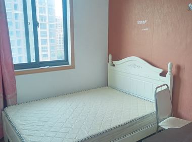 古楼新苑西区 3室0厅2卫