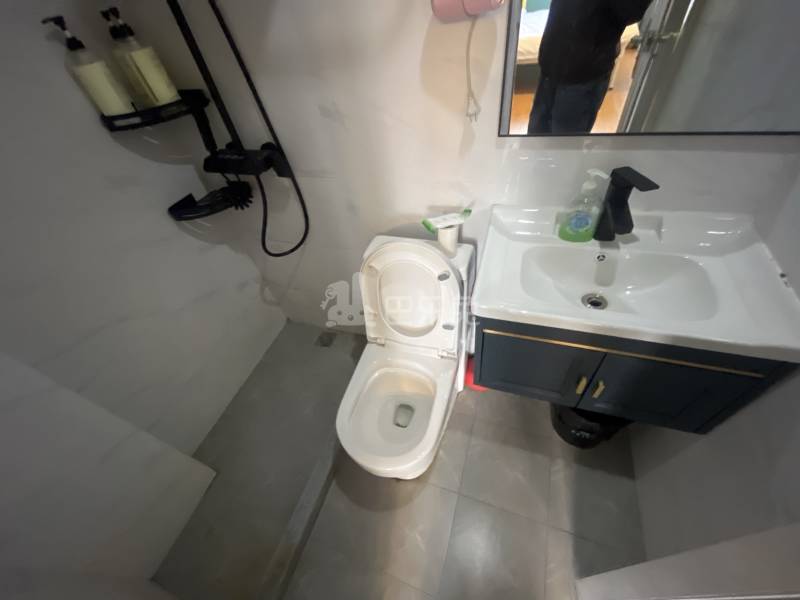 颛溪十村17096572卫生间图4