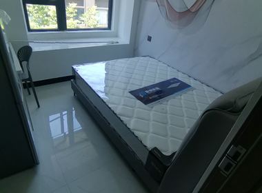 四季都会晓风来 