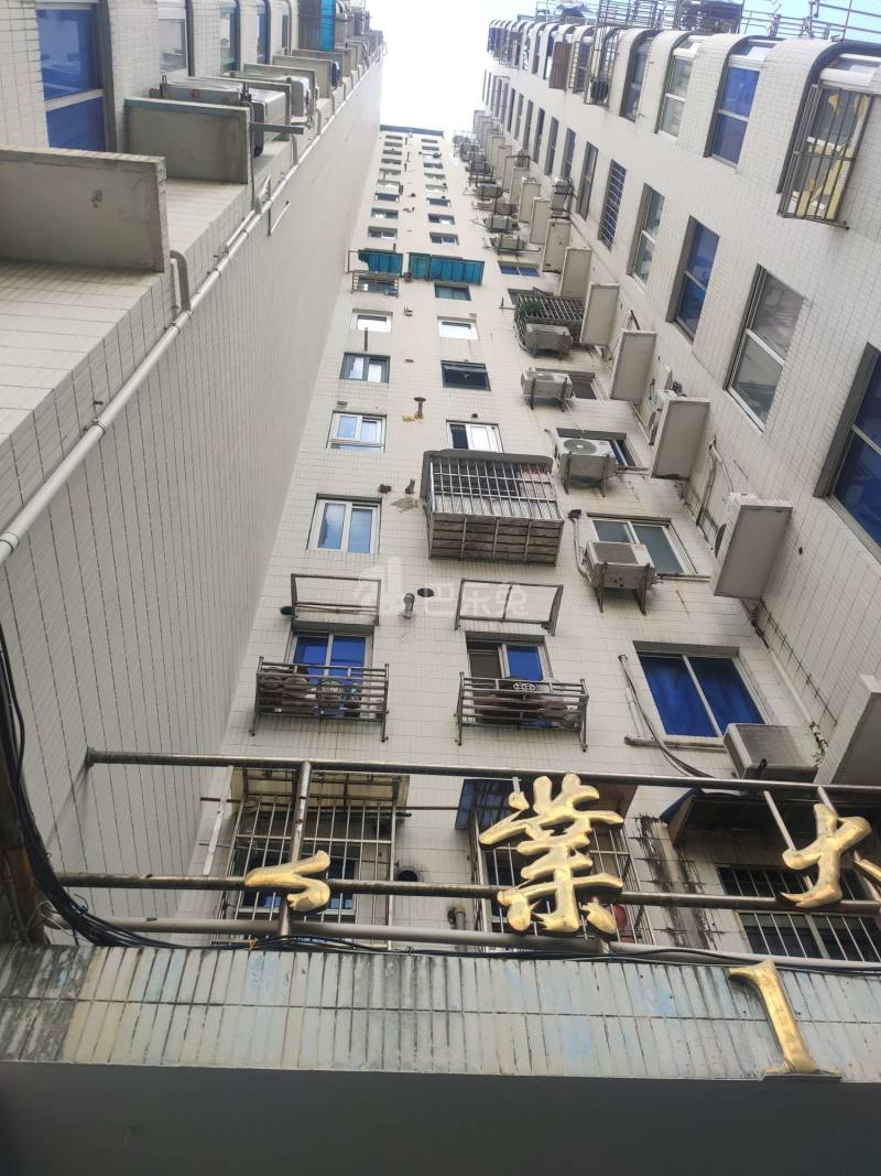 新电小区17243098周边环境图23