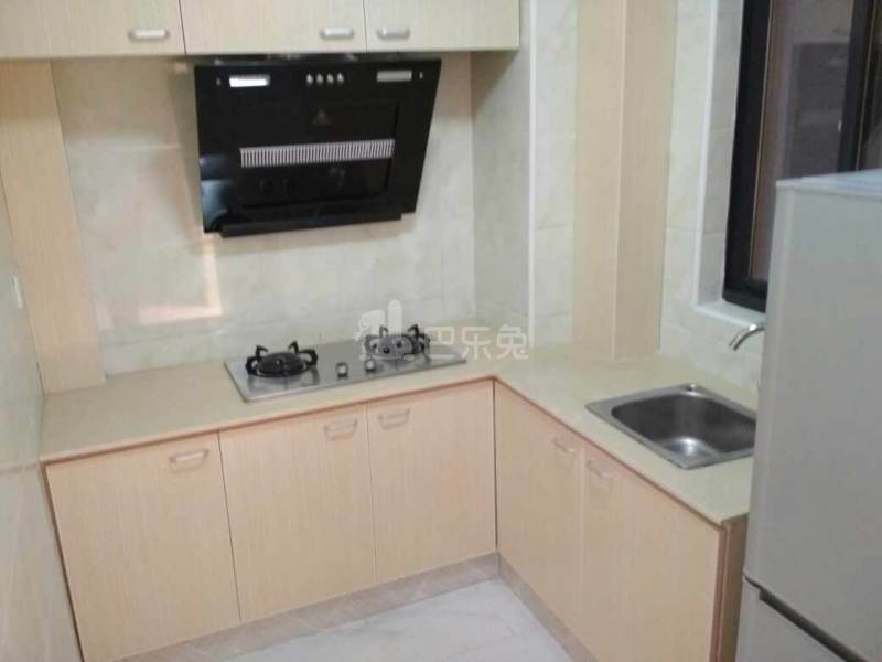 申城佳苑二期B块9566426厨房图5