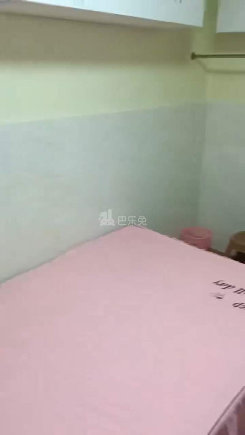 新洲南村18003885周边环境图0