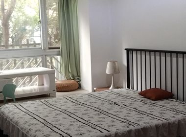 明日星城1期（河南南路1001弄） 