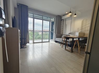 浦东唐城公寓（顾唐路与齐爱路） 1室1厅1卫