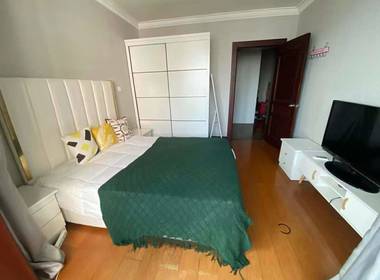 宝钢公寓 1室0厅0卫