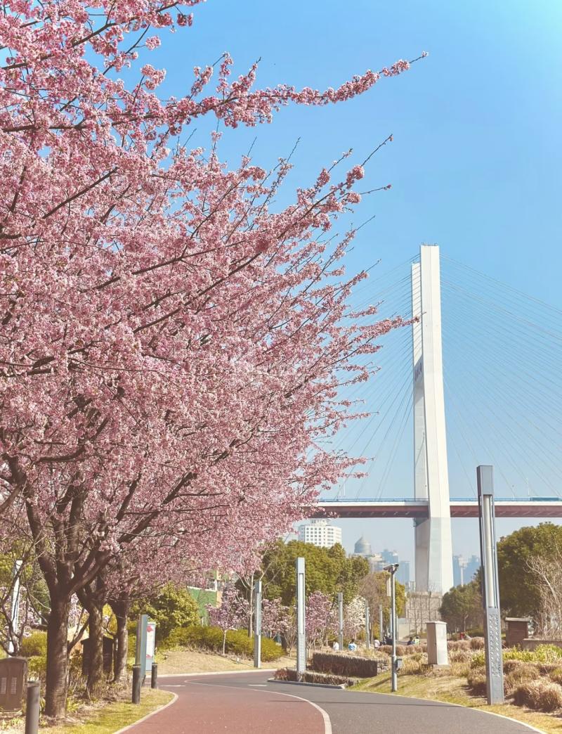 瞿溪新村（中山南路1586弄）18219342周边环境图8