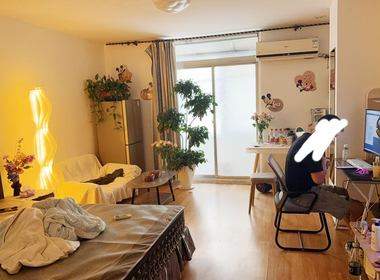 金坤公寓（金汇路） 1室1厅1卫