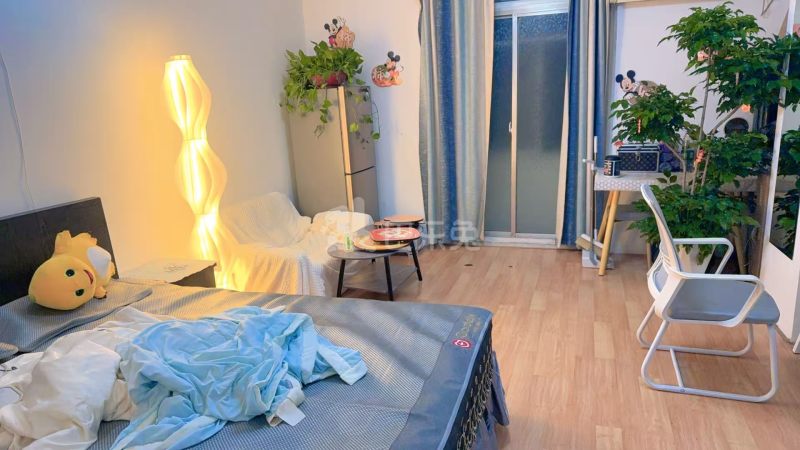 金坤公寓（金汇路）18225464周边环境图1