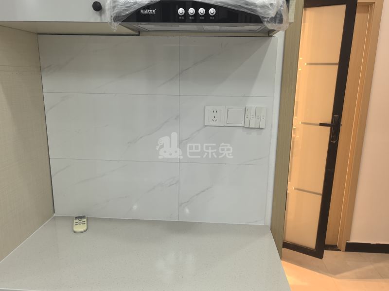 望源公寓（场中路2828弄）18228628厨房图5