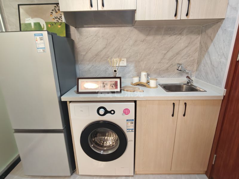 瑞易公寓18361276厨房图4