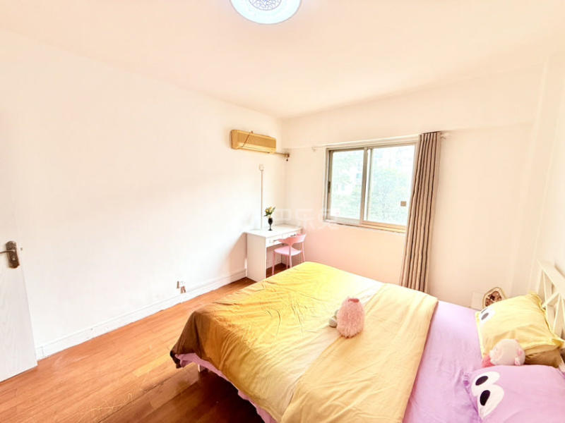 上海路209号18369384周边环境图4