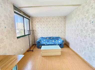 小上海新城一期 