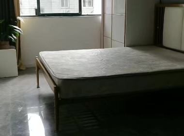 龙臣公寓（五莲路719弄） 