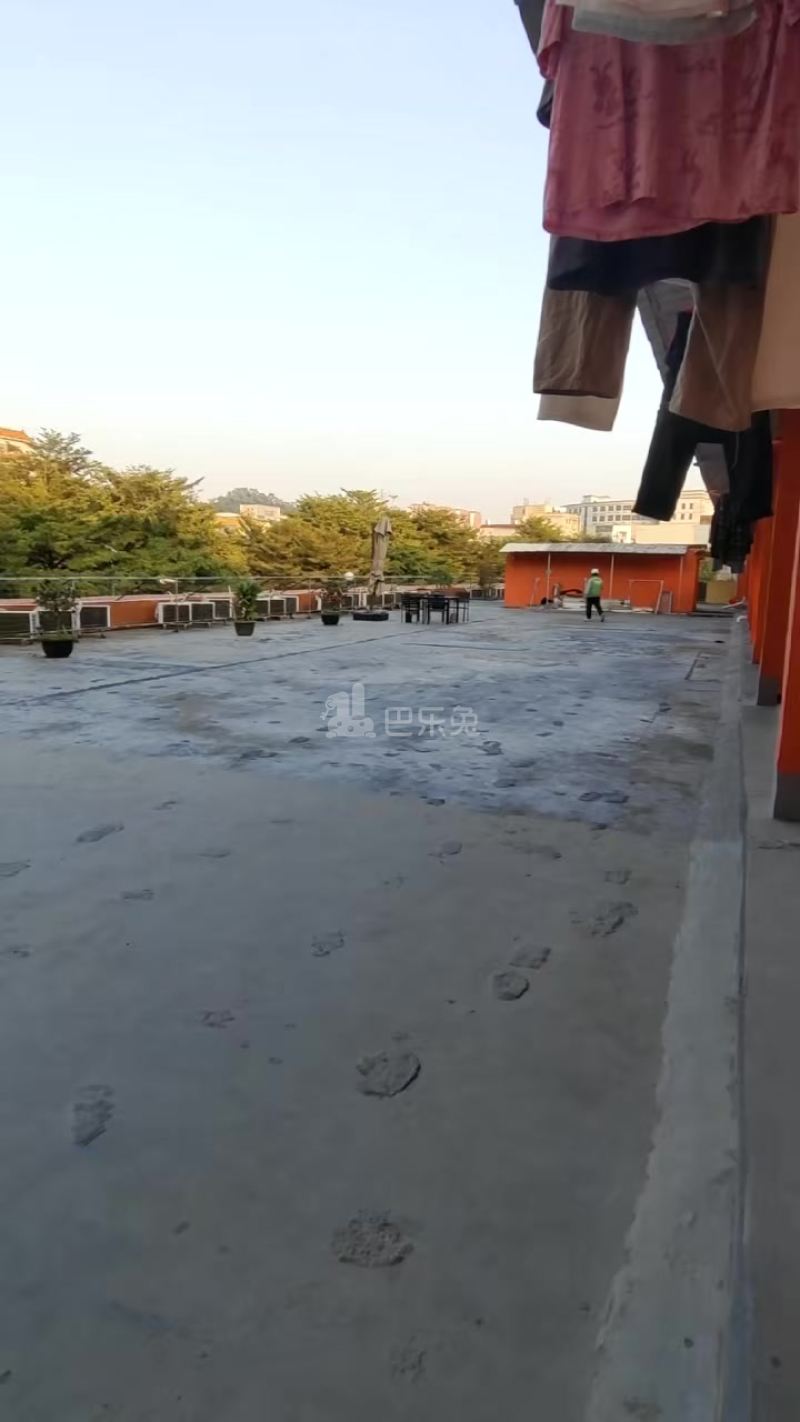 平湖大街241号18426091周边环境图0