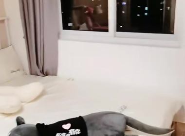 苗桐佳苑（芳华路739弄） 