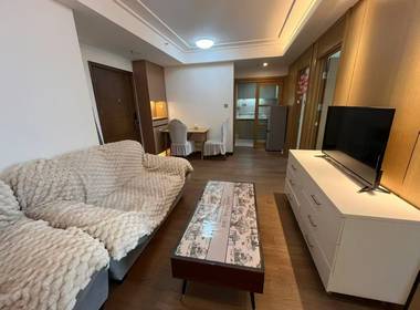 金地龙城中央1期 