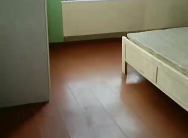 金地自在城二期（山水四季城二期） 