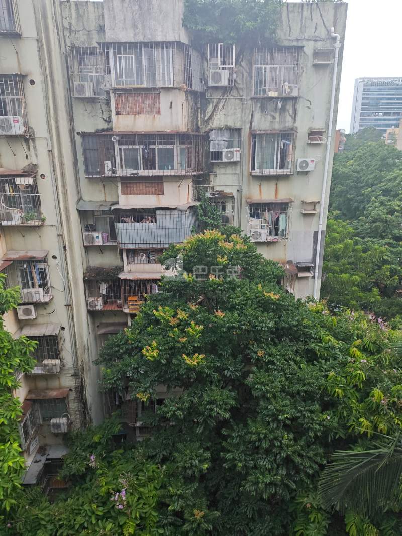 南油生活B区2135046周边环境图5