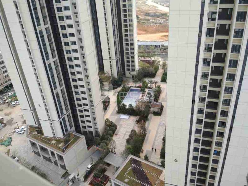 金地龙城中央1期18428638周边环境图6