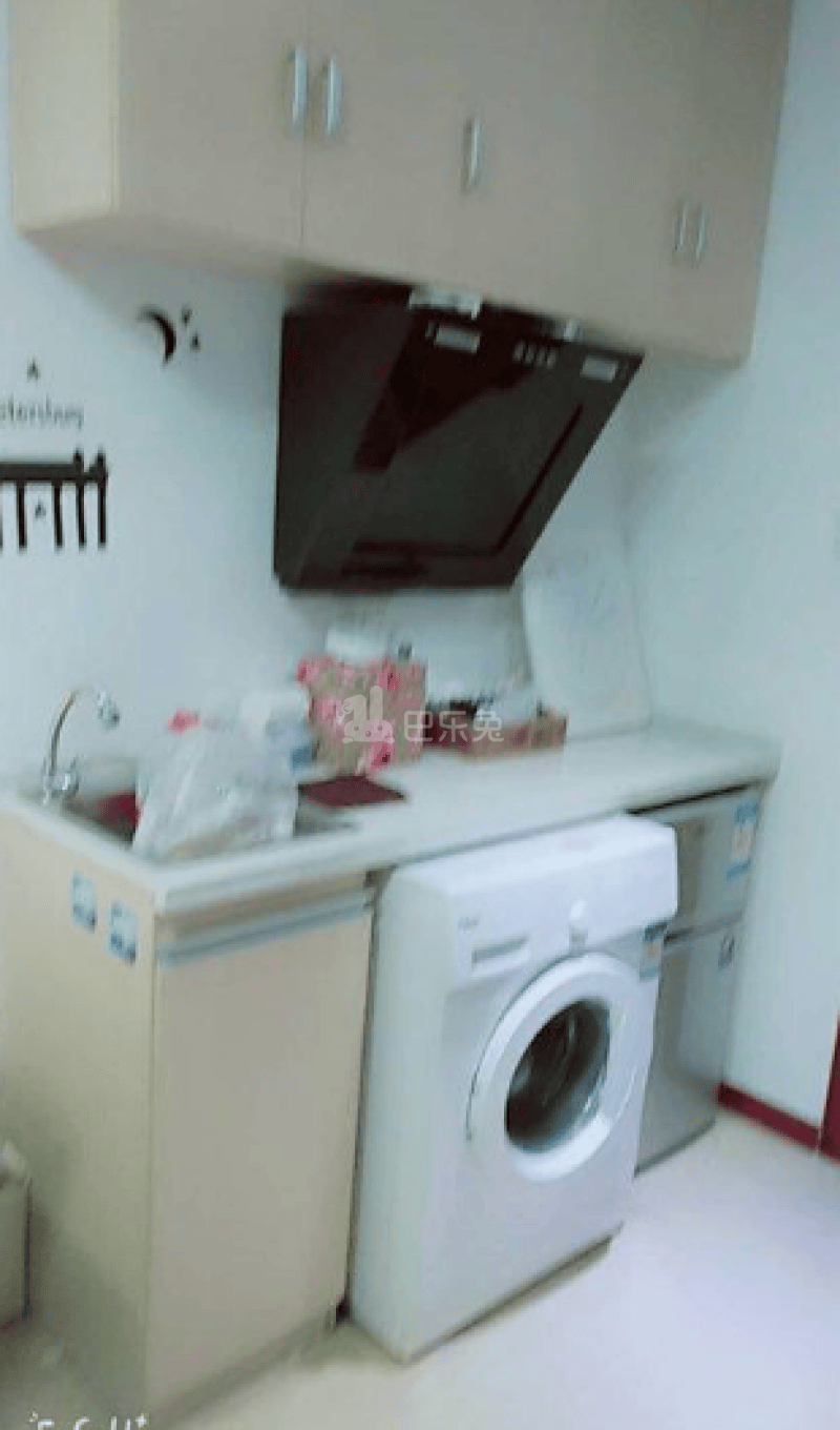 邦途时尚公寓2171887厨房图3