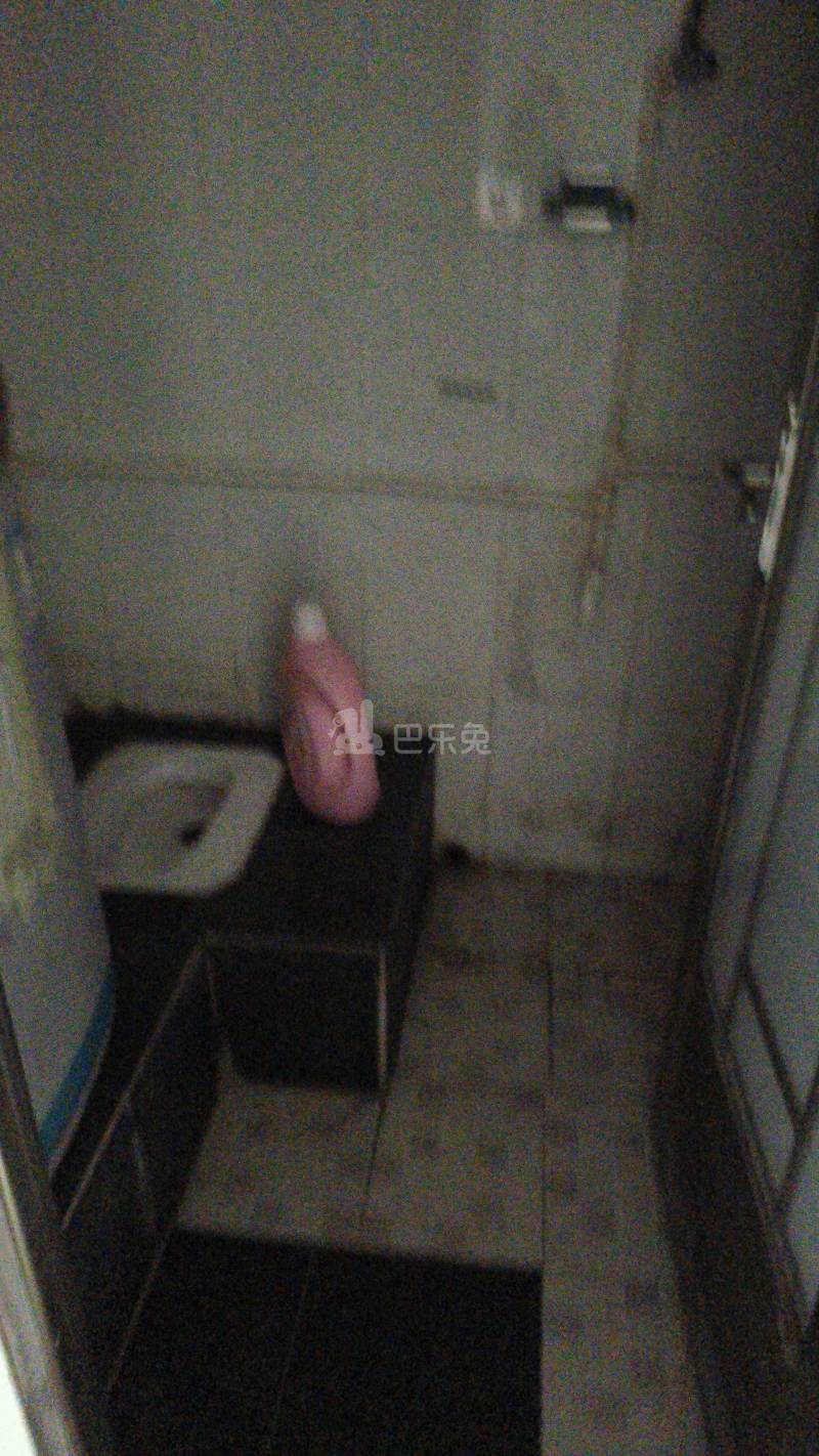 福园小区2172502卫生间图4