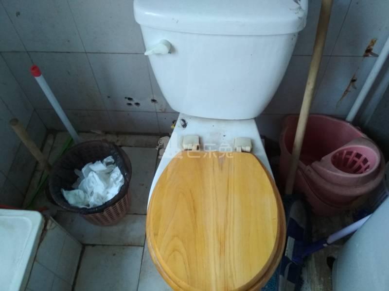 南国大厦5173188卫生间图4