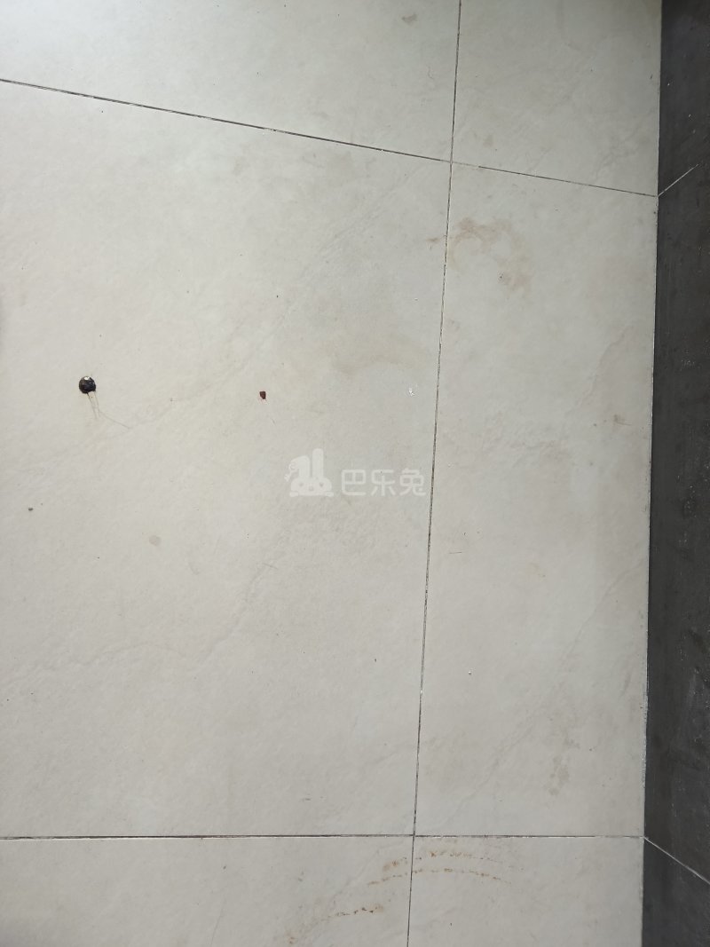 现代城华庭2197470客厅图4