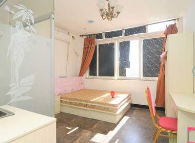 荔子公寓 1室0厅1卫