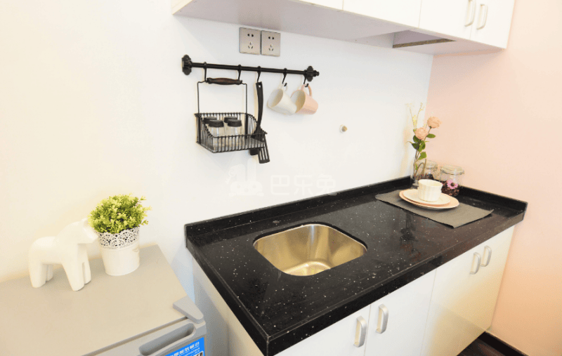 18plus公寓（横岗）2289213厨房图4