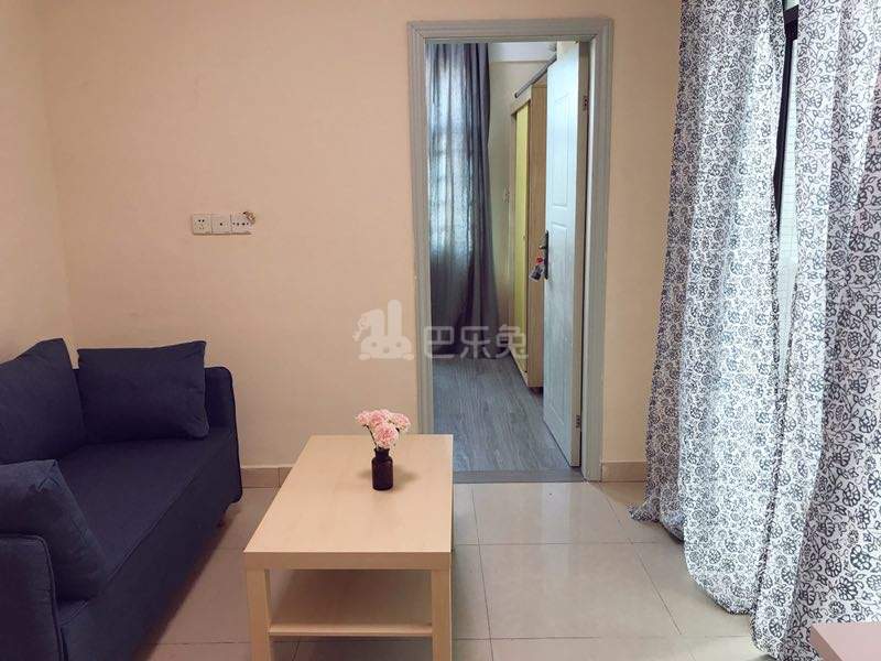 中天投公寓2296504客厅图3