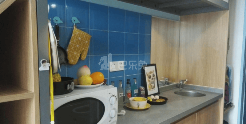 YT公寓2297533厨房图4