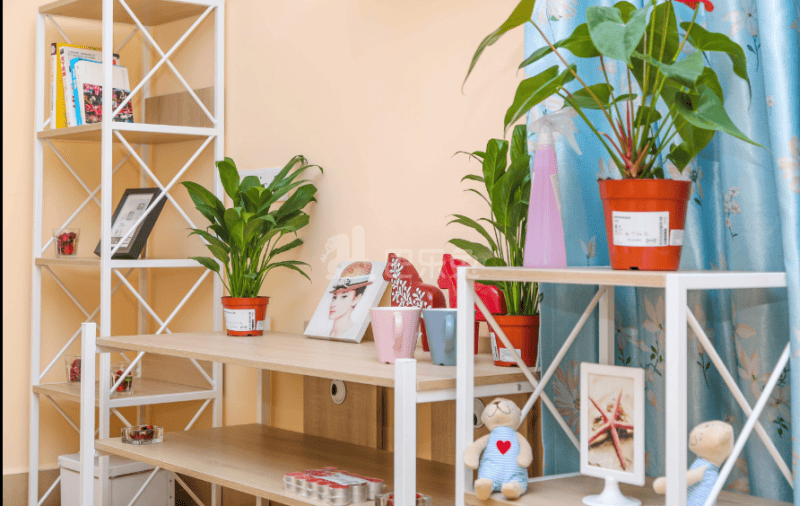 来休公寓（凤凰岗店）2302718客厅图6