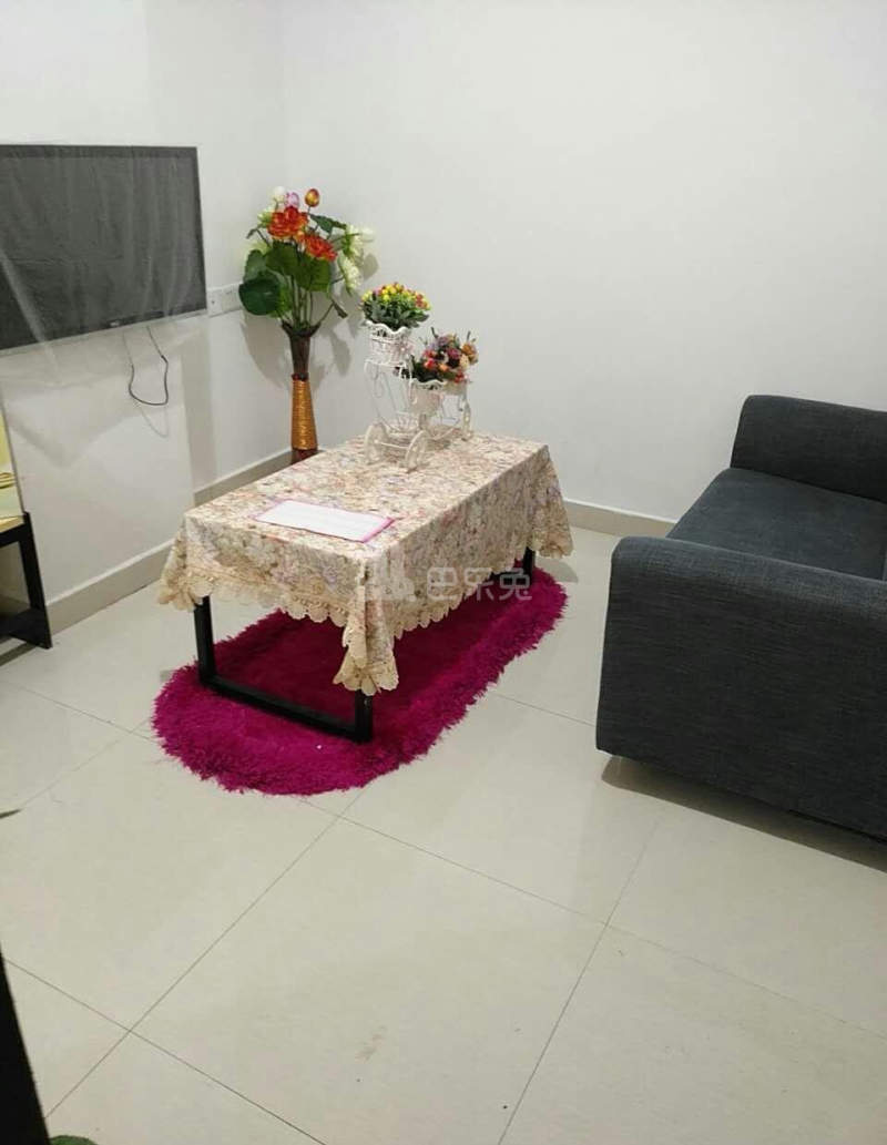 西丽城市公寓2317074客厅图2