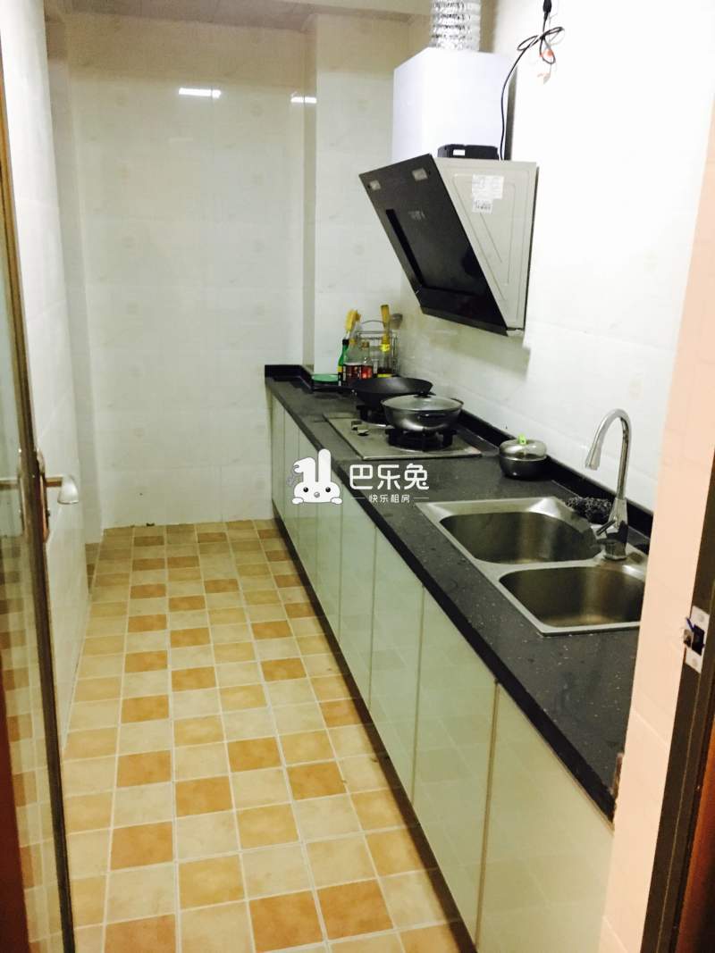 成都周边县市_维罗娜_2室1厅1卫_整租_金园街