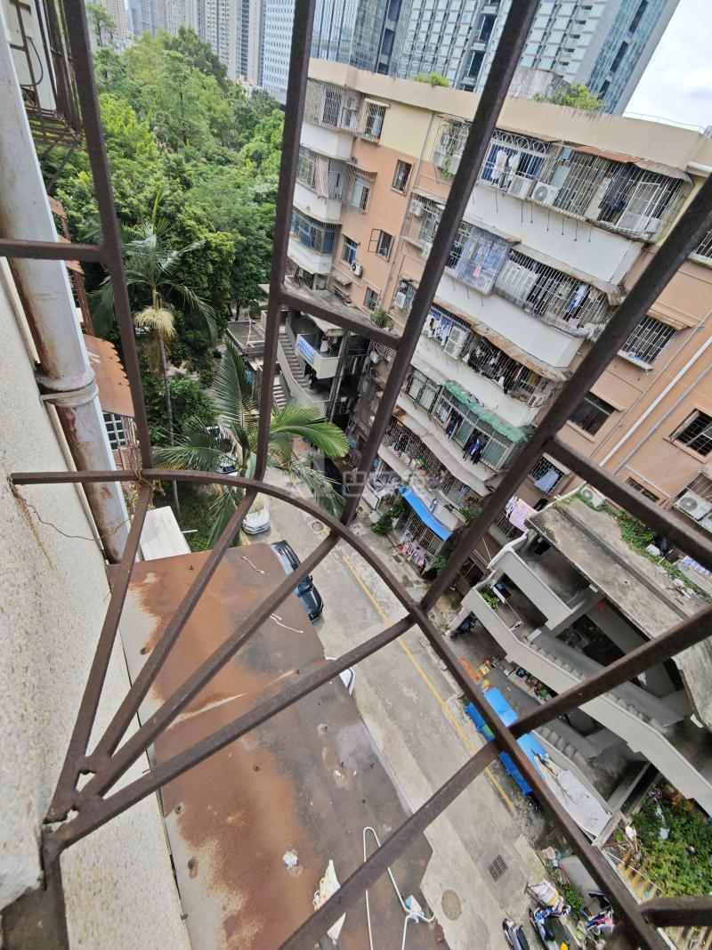 园丁楼2384897周边环境图9