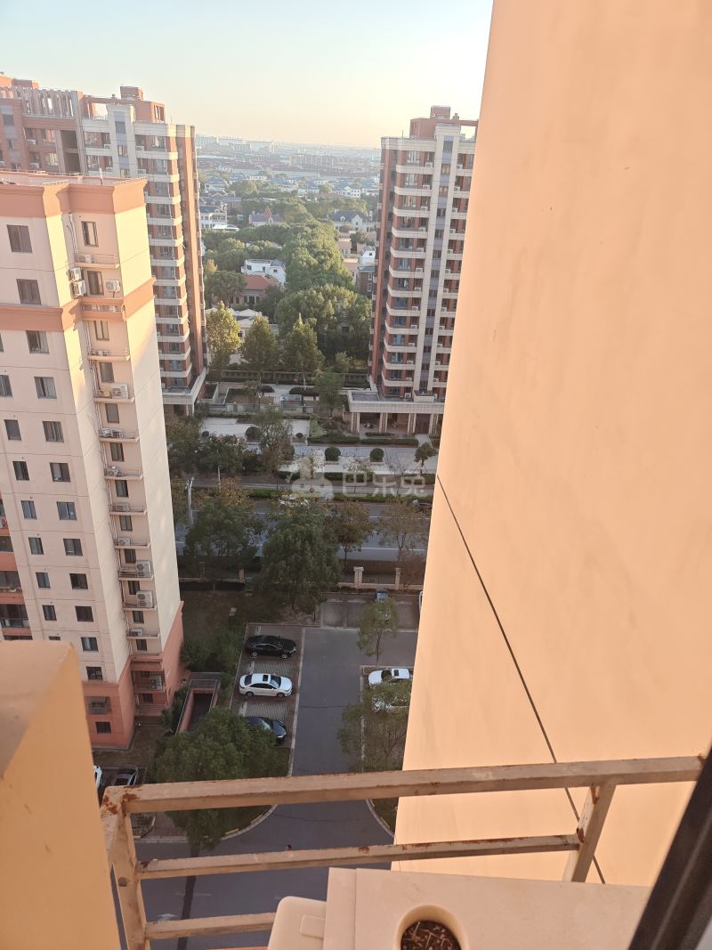 宣桥枫庭2386689周边环境图14