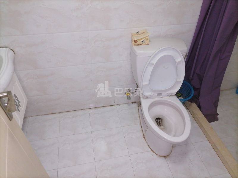 宣桥枫庭2386689卫生间图12