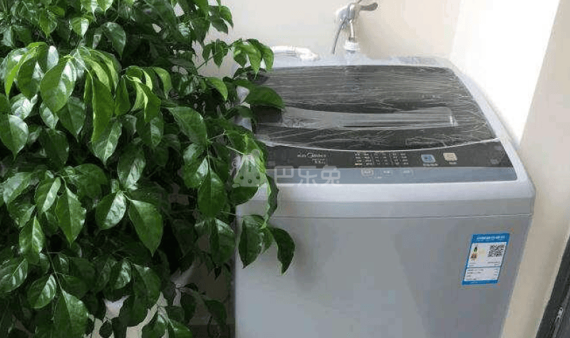 集悦城（红岭店）2407244卧室图3