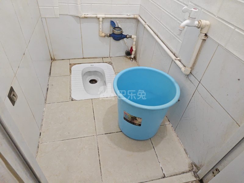 丁头村2419665卫生间图4