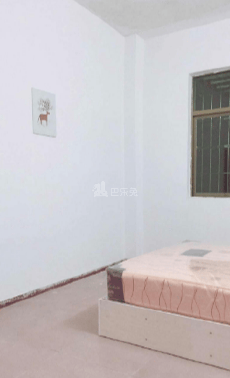 旭光公寓2421927卧室图0