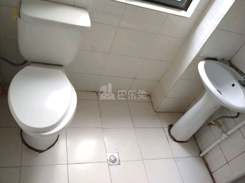 新虹园小区2435537卫生间图10