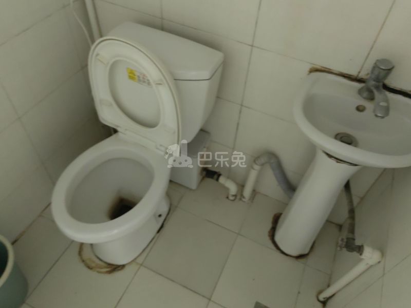 新虹园小区2435537卫生间图8