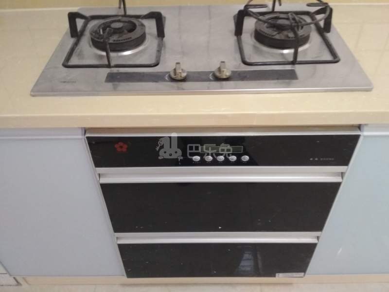 新高苑五期（新高苑梦园）2594172厨房图13