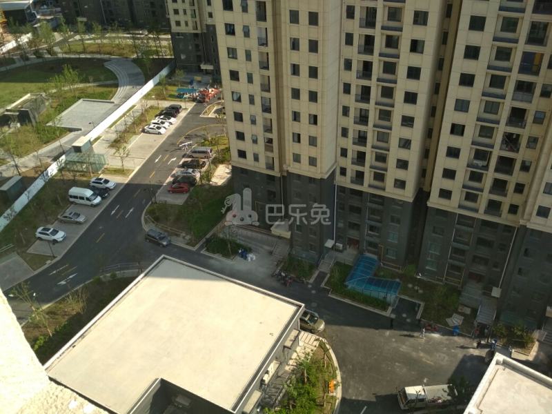 新高苑五期（新高苑梦园）2594172周边环境图26