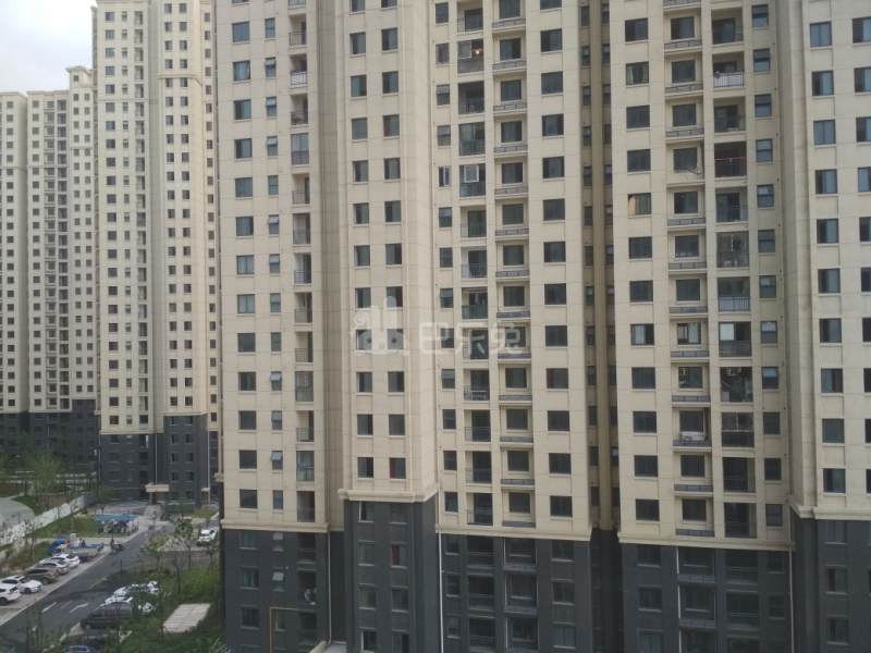 新高苑五期（新高苑梦园）2594172周边环境图25