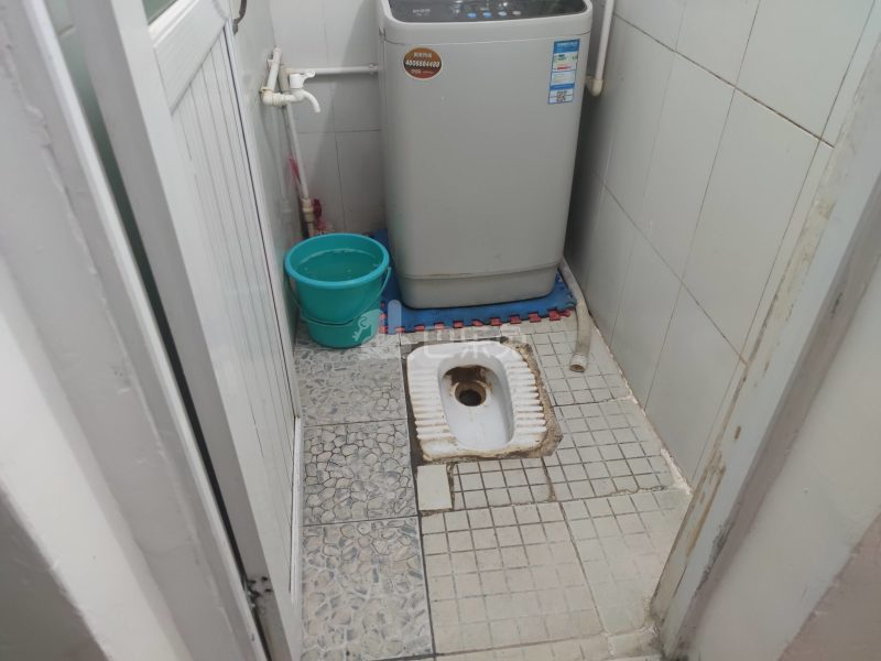 龙电花园B区2796845卫生间图7