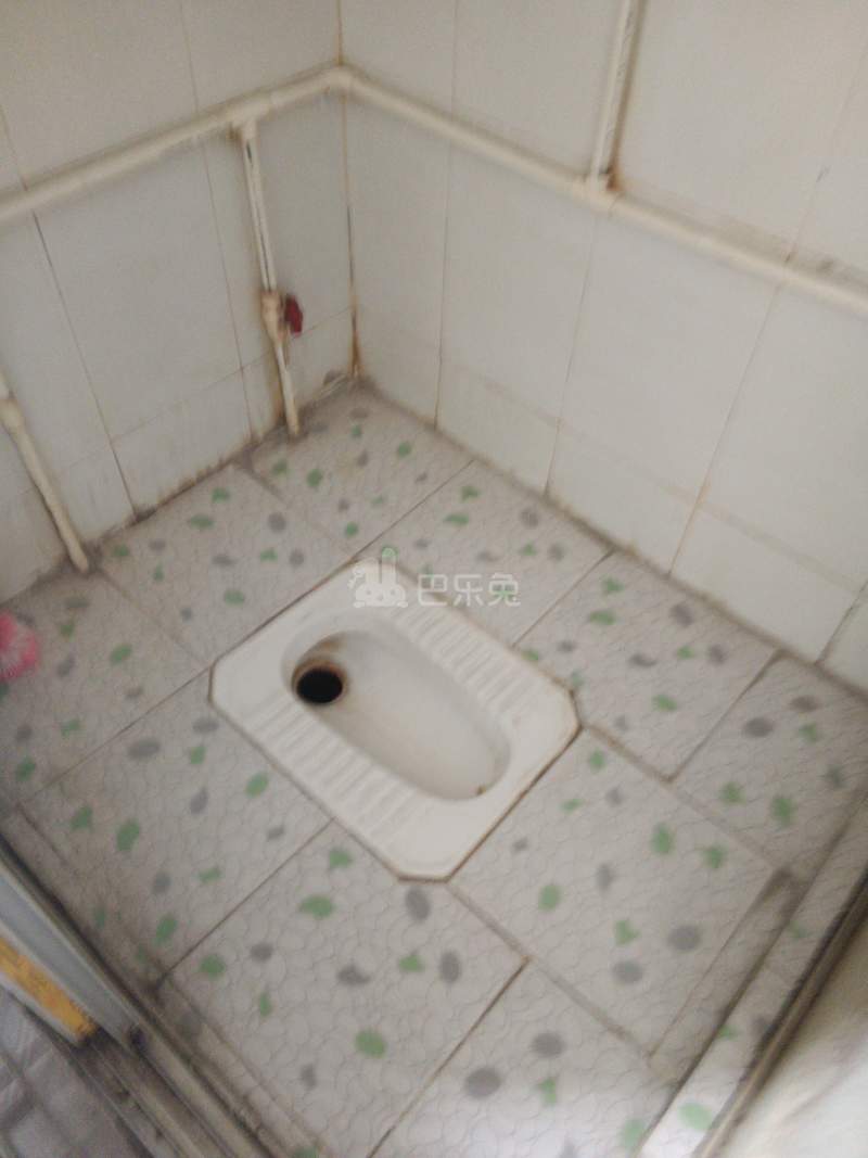 大新村2815724卫生间图4