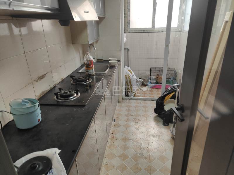 高行绿洲三期2877359厨房图7